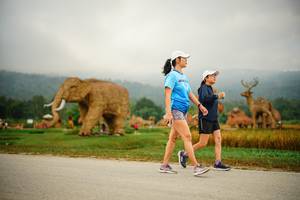 BIB: 
                            <button type="button" onclick="openModal(22400638)" class="btn btn-primary btn-sm float-right btn-popup" data-toggle="modal" data-target=".modal-high-quality">
                        <i class="fas fa-shopping-cart"></i> Add to Cart
                    </button>
                                            <button type="button" onclick="isThisMe(22400638, true)" class="btn btn-success btn-sm float-right btn-popup btn-isme hidden" data-toggle="tooltip" data-placement="bottom" title="นี่คือรูปของคุณใช่ไหม คลิกที่นี่เพื่อเอาเข้าอัลบั้ม">
                        <i class="fas fa-plus"></i> Add to album
                    </button>
                    <button type="button" onclick="isThisMe(22400638, false)" class="btn btn-warning btn-sm float-right btn-popup btn-isnotme hidden">
                        <i class="fas fa-ban"></i> Remove from album
                    </button>